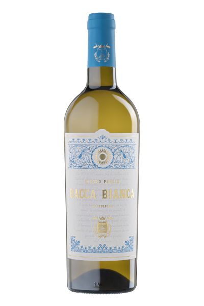 Acanto - Vino Primitivo